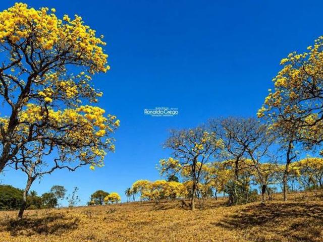 Fazenda para venda em Centro, Araxá