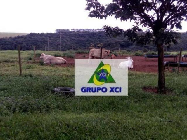 Fazenda para venda em Centro, Araxá