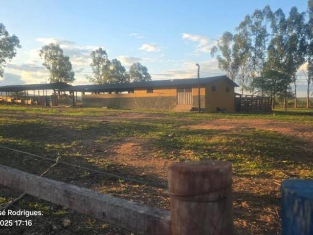 Fazenda para venda em Centro, Buenópolis