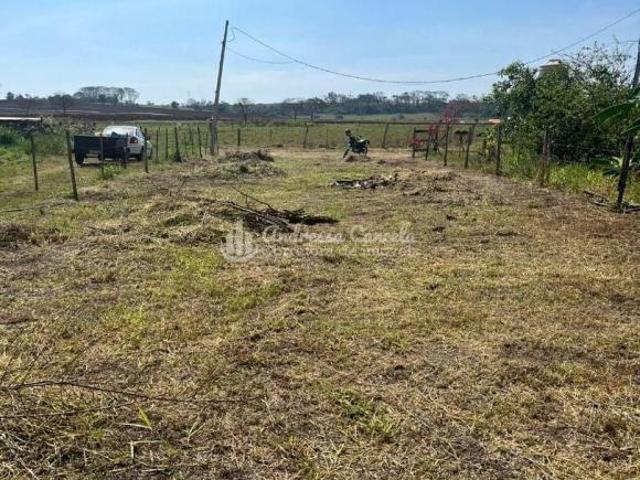 Fazenda para venda em Centro, Buritama