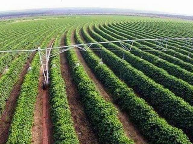 Fazenda para venda em Centro, Buritizeiro