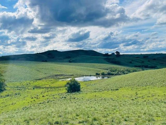 Fazenda para venda em Centro, Bagé