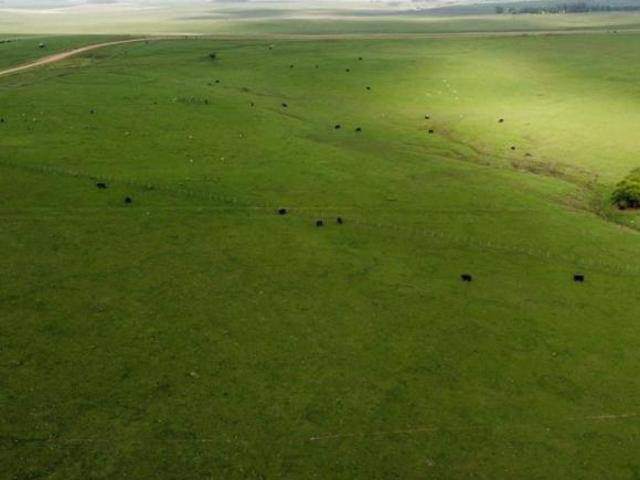 Fazenda para venda em Centro, Bagé