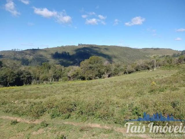 Fazenda para venda em Centro, Barão do Triunfo