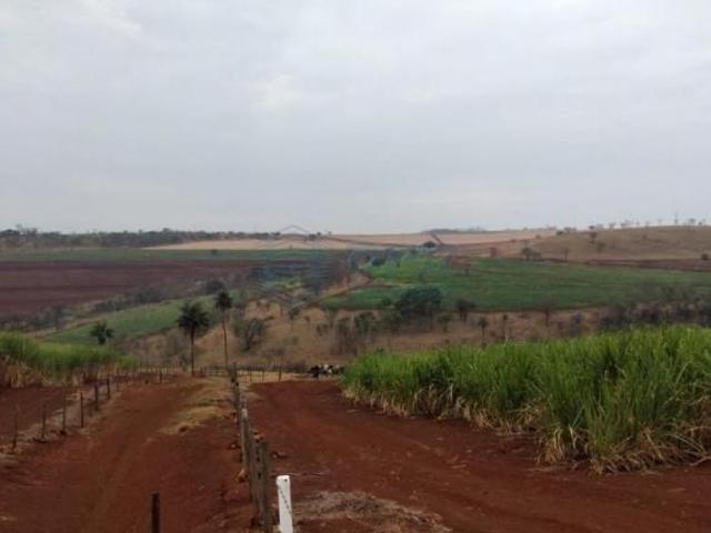Fazenda para venda em Centro, Batatais