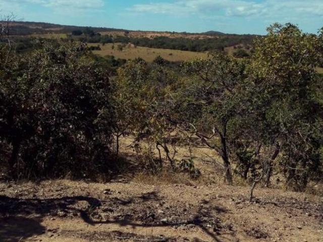Fazenda para venda em Centro, Biquinhas