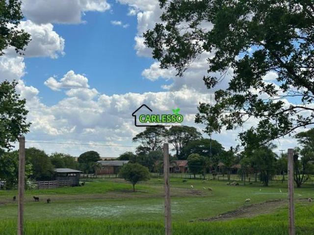 Fazenda para venda em Centro, Boa Vista do Incra