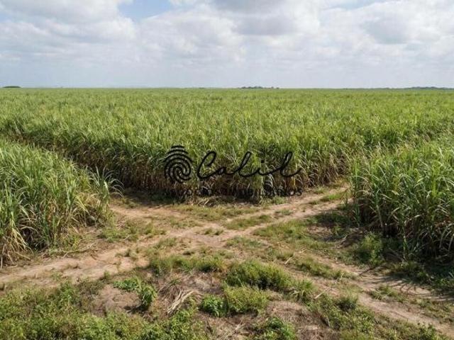 Fazenda para venda em Centro, Boa Esperança do Sul