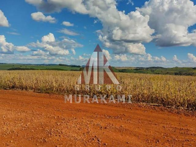 Fazenda para venda em Centro, Bom Sucesso