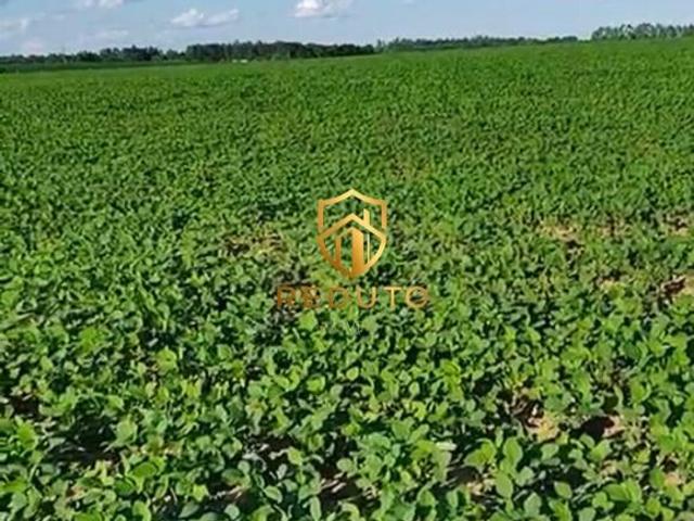 Fazenda para venda em Centro, Bom Sucesso