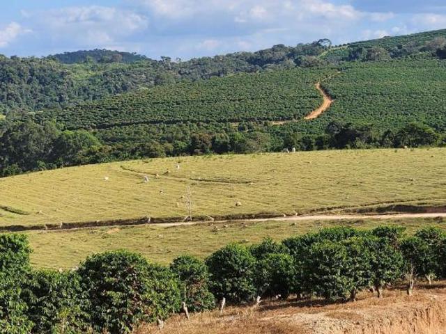 Fazenda para venda em Centro, Bom Sucesso