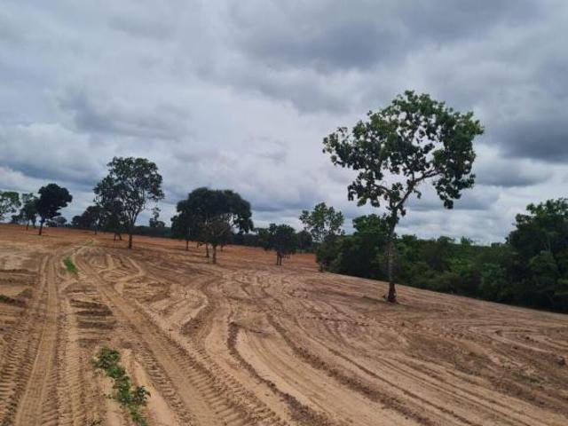 Fazenda para venda em Centro, Bonfinópolis de Minas