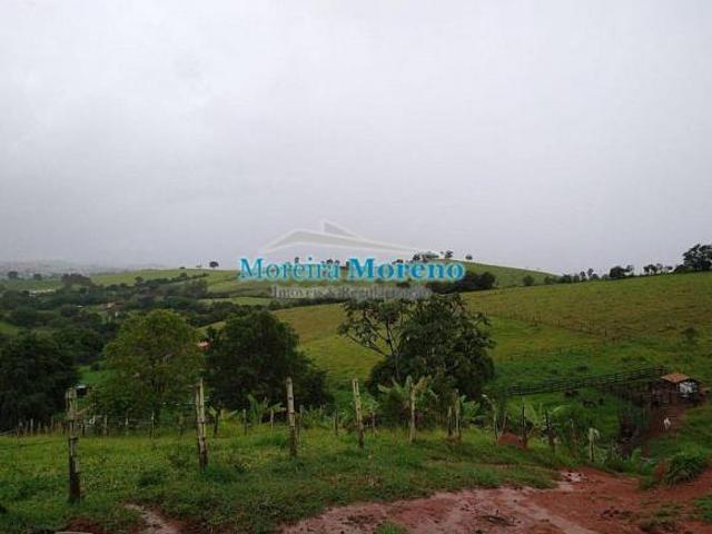 Fazenda para venda em Centro, Borda da Mata