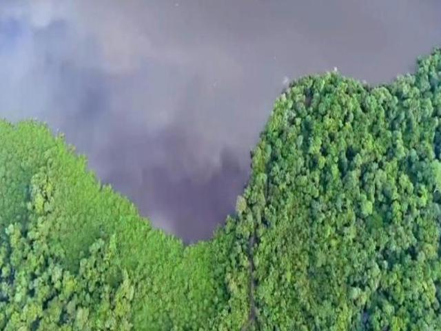 Fazenda para venda em Centro, Britânia