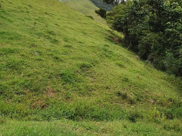 Fazenda para venda em Centro, Cunha