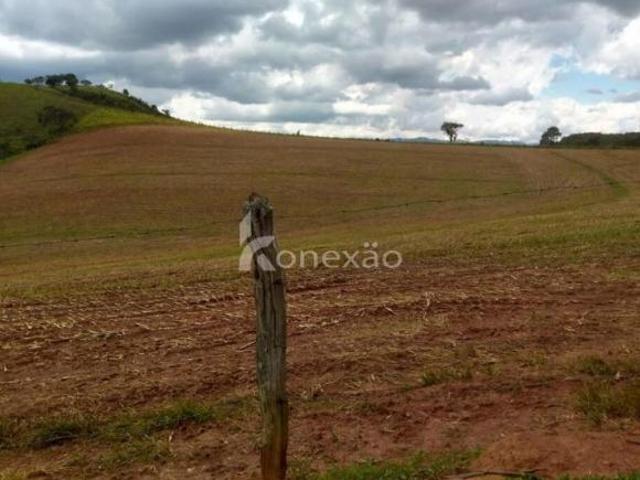 Fazenda para venda em Centro, Cunha