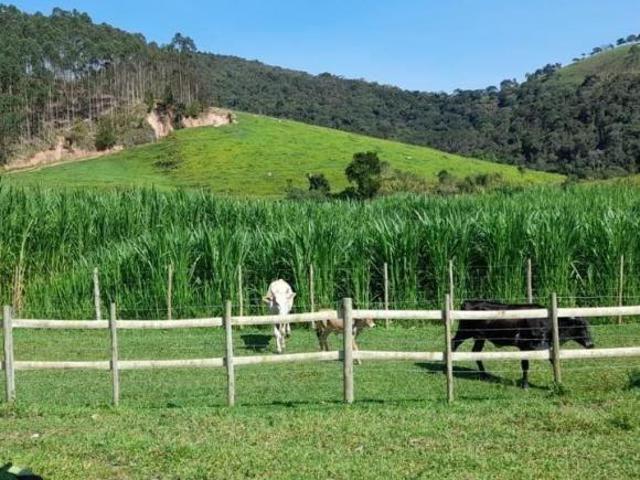 Fazenda para venda em Centro, Cunha