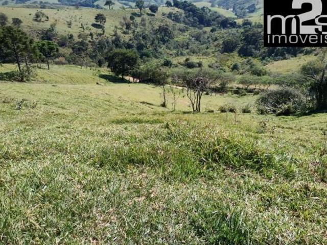Fazenda para venda em Centro, Cunha