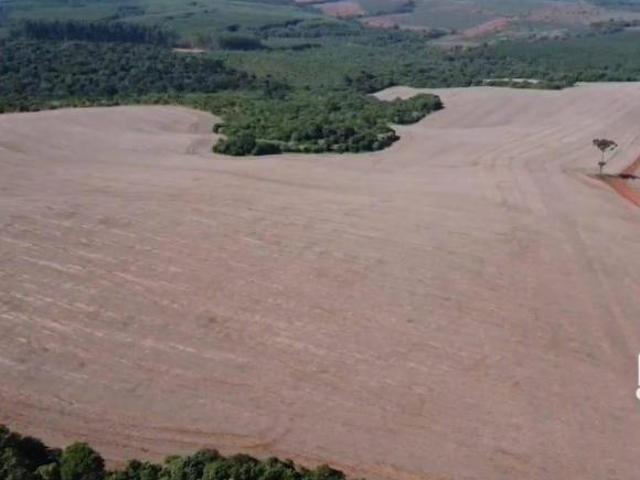 Fazenda para venda em Centro, Curiúva
