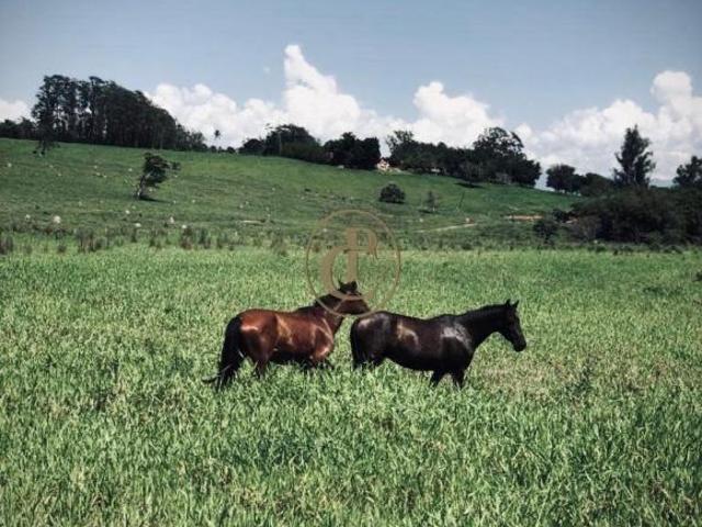 Fazenda para venda em Centro, Cachoeira Paulista