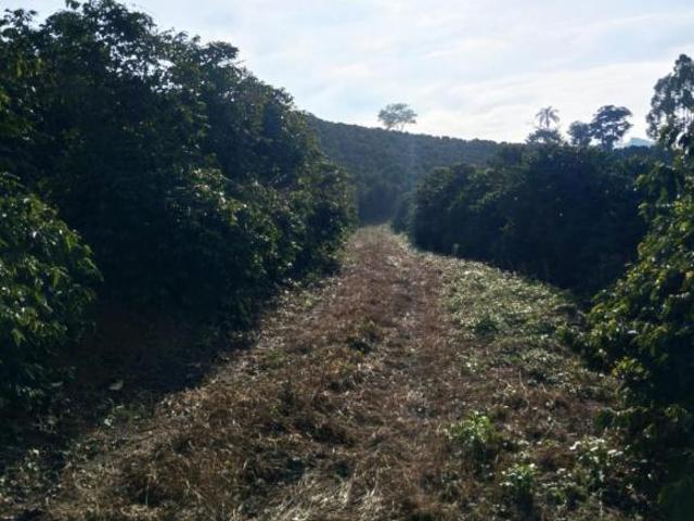 Fazenda para venda em Centro, Cabo Verde