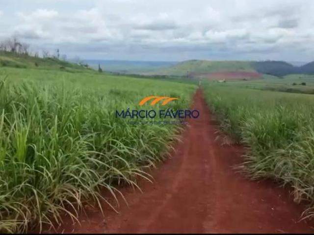 Fazenda para venda em Centro, Cajuru