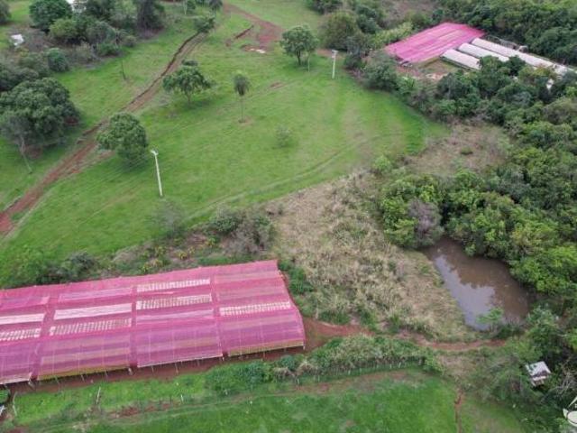 Fazenda para venda em Centro, Cajuru