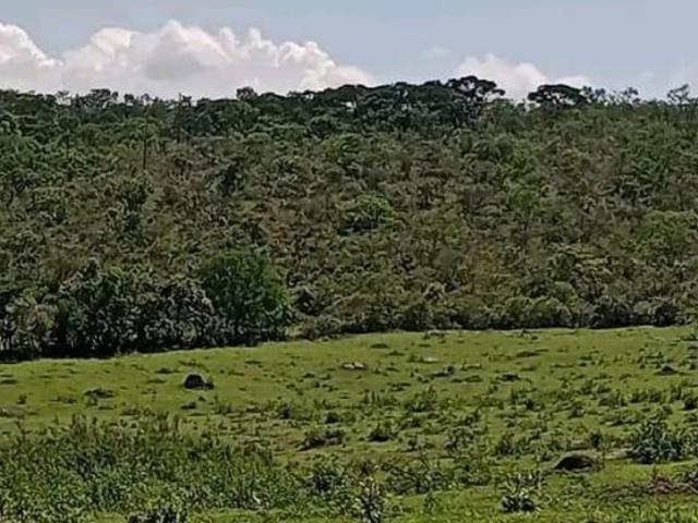 Fazenda para venda em Centro, Cambuquira