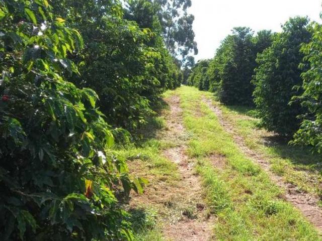 Fazenda para venda em Centro, Campanha