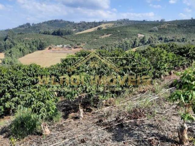 Fazenda para venda em Centro, Campestre