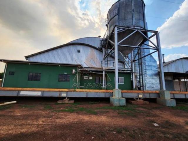 Fazenda para venda em Centro, Campinorte