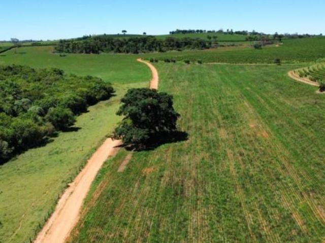 Fazenda para venda em Centro, Campos Gerais