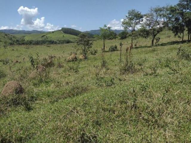 Fazenda para venda em Centro, Canas