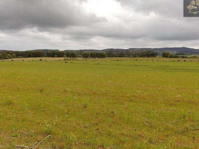 Fazenda para venda em Centro, Capão do Leão