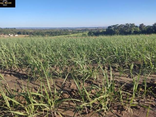 Fazenda para venda em Centro, Capela do Alto