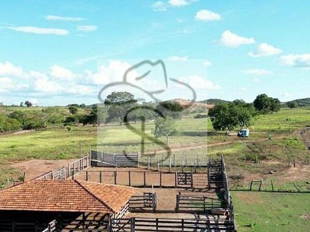 Fazenda para venda em Centro, Capitão Enéas