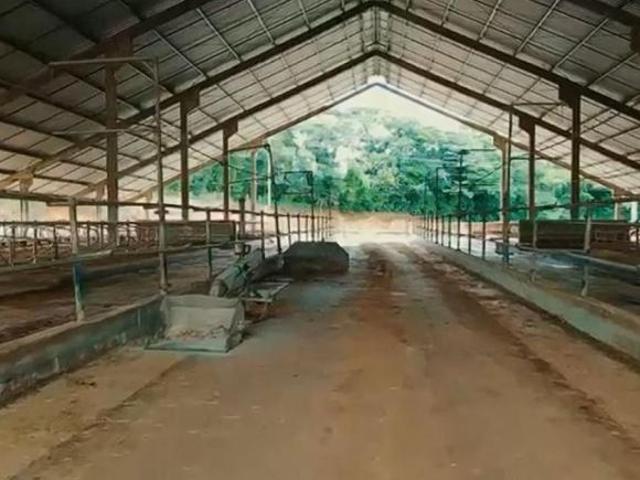 Fazenda para venda em Centro, Carmo de Minas