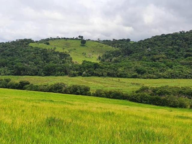 Fazenda para venda em Centro, Carmo de Minas