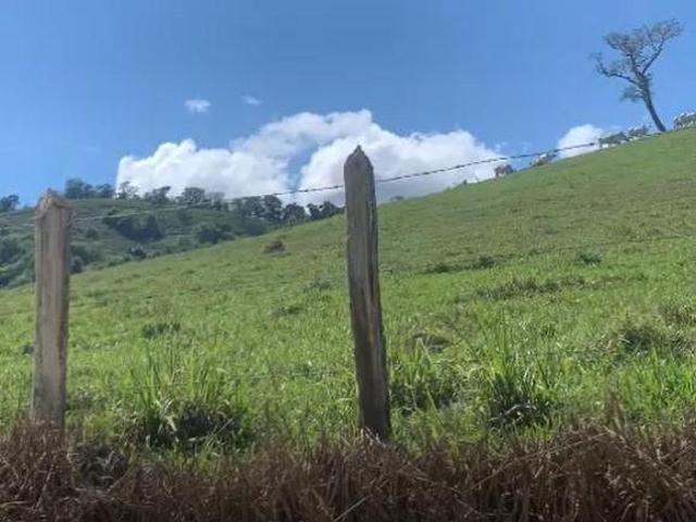 Fazenda para venda em Centro, Carmo de Minas