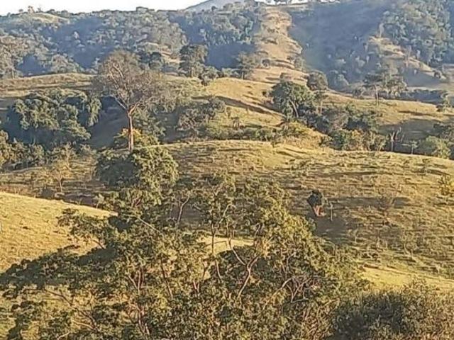 Fazenda para venda em Centro, Carmo do Rio Verde