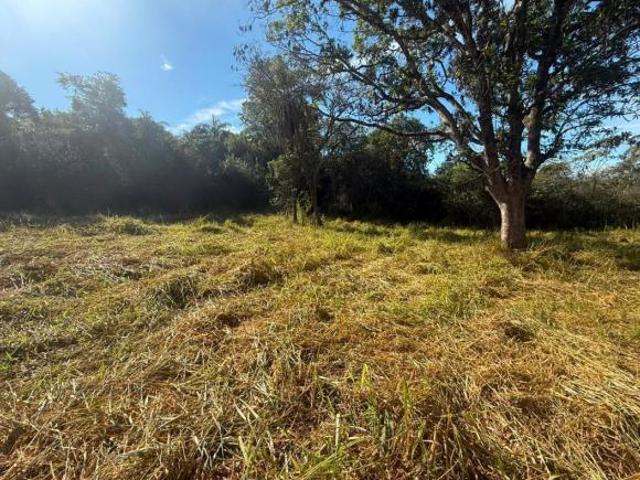 Fazenda para venda em Centro, Carmópolis de Minas