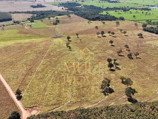 Fazenda para venda em Centro, Cardoso