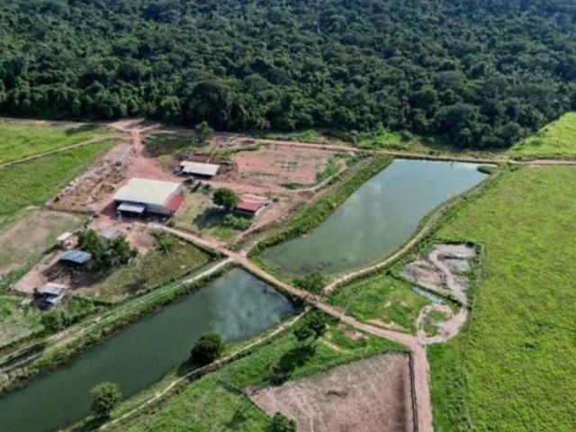 Fazenda para venda em Centro, Carlinda