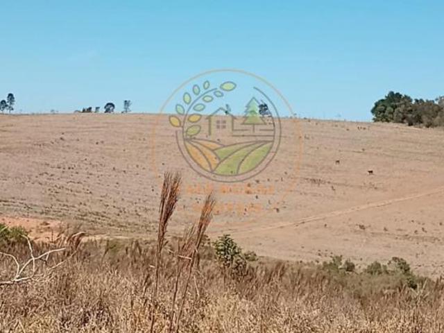 Fazenda para venda em Centro, Carrancas