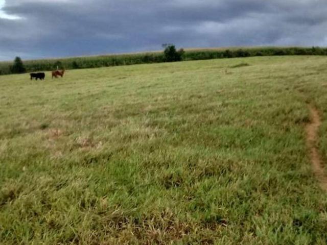 Fazenda para venda em Centro, Carrancas