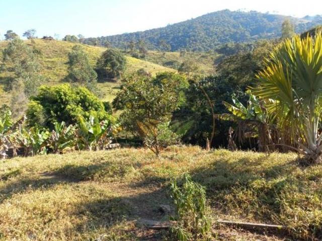 Fazenda para venda em Centro, Carvalhos