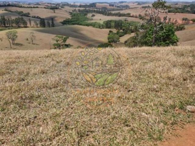 Fazenda para venda em Centro, Caxambu