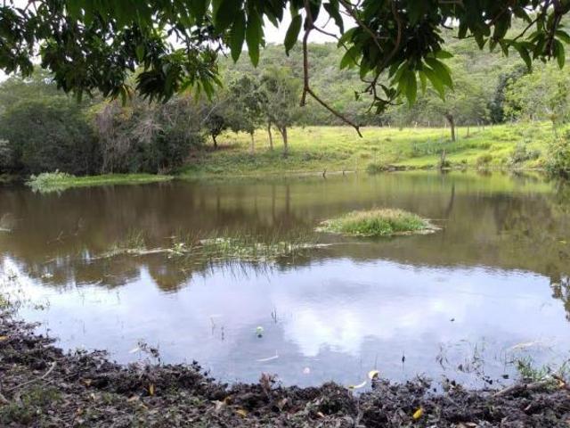 Fazenda para venda em Centro, Claraval