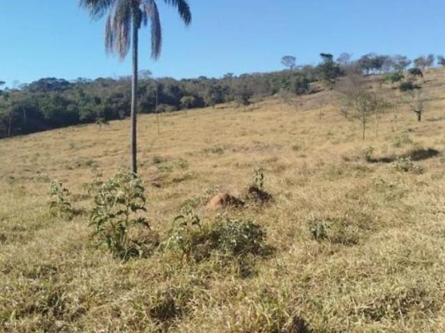 Fazenda para venda em Centro, Cláudio