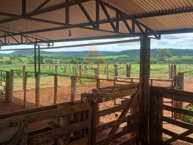 Fazenda para venda em Centro, Comendador Gomes
